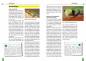 Preview: Conraus Zwergtaggecko